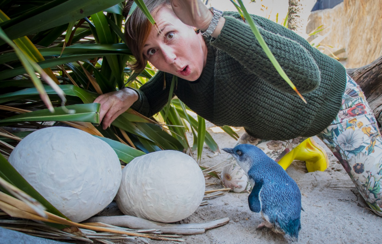 What’s on in the Bay this weekend?