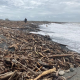 Woody debris being removed from rivers and beaches across the region