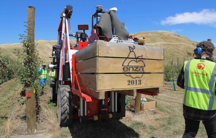 World's first commercial robotic apple harvest at Hawke's Bay orchards